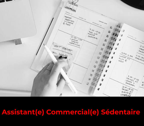 Assistant(e) Commercial(e) Sédentaire